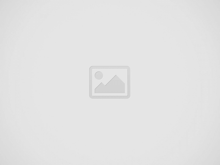 hollywood networking groups